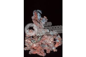 Copper