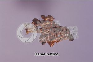 Rame nativo