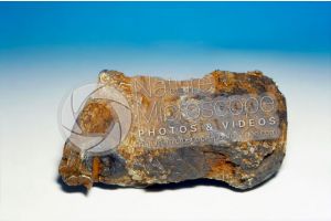Meteorite