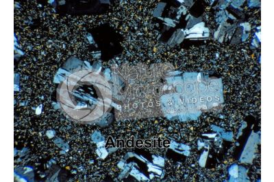Andesite. Costa Rica. Sezione sottile in luce polarizzata. 32X