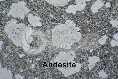 Andesite. Costa Rica. Sezione sottile in luce polarizzata. 32X
