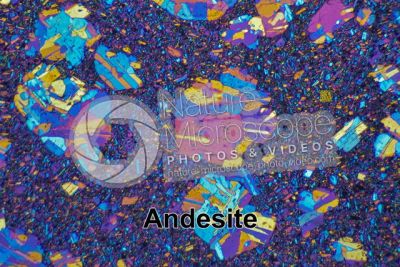 Andesite. Costa Rica. Sezione sottile in luce polarizzata a Nicol incrociati con filtro lambda. 32X