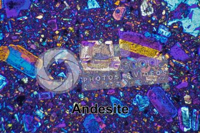 Andesite. Indonesia. Sezione sottile in luce polarizzata a Nicol incrociati con filtro lambda. 32X