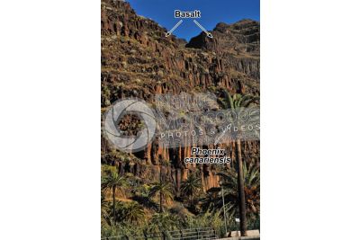 Columnar basalt. La Gomera. Canary Islands. Spain