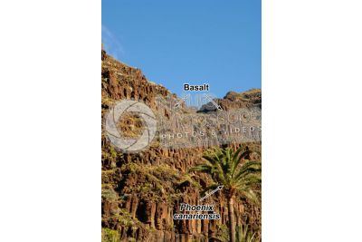 Columnar basalt. La Gomera. Canary Islands. Spain
