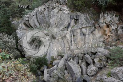 Columnar basalt. Piedra de la Rosa. Tenerife. Canary Islands. Spain