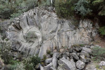 Columnar basalt. Piedra de la Rosa. Tenerife. Canary Islands. Spain