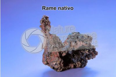 Rame nativo