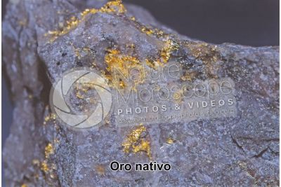 Oro nativo