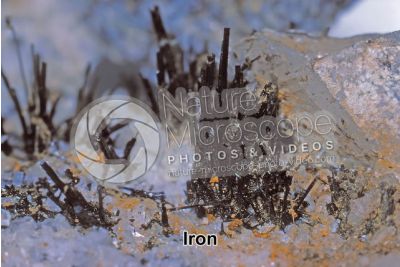 Iron
