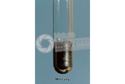 Mercury