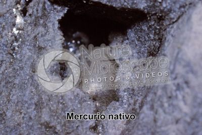 Mercurio nativo
