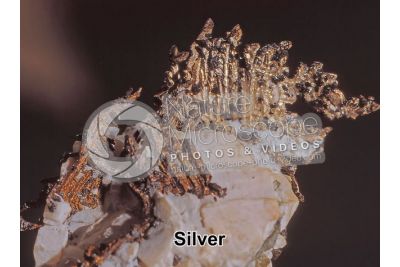 Silver