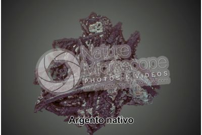 Argento nativo