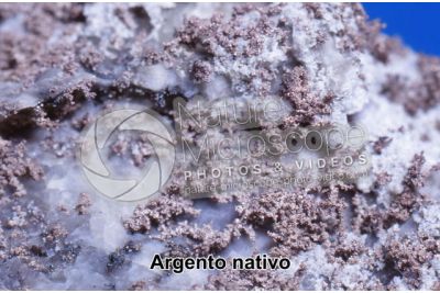 Argento nativo