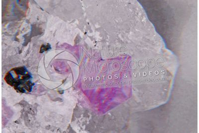 Pezzottaite. 3D image