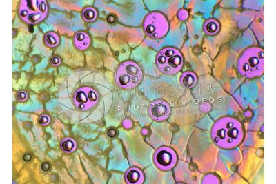 Air bubbles. 07