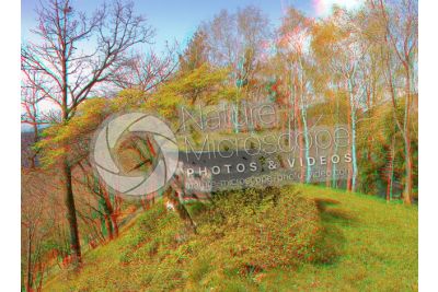 Hunting hide. 3D image